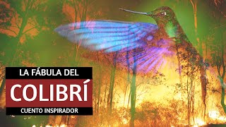 🐤🐤· Fábula del Colibrí  Cuento inspirador para reflexionar  Leyenda popular  Superación personal [upl. by Quigley205]