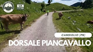 Dorsale Piancavallo  Cansiglio  Caneva  MTB 4K [upl. by Ailekat]