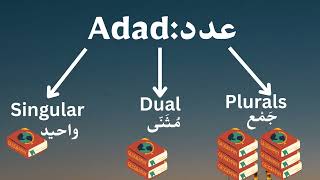 Ism Adad Number  Arabic Grammer Lesson  3 [upl. by Illek651]