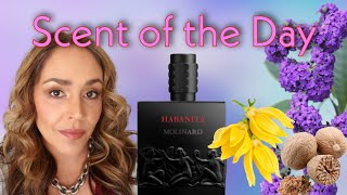 Scent of the Day Habanita by Molinard a floral powder bomb [upl. by Haskell]