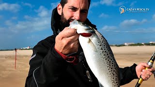 【𝐁𝐚𝐢𝐥𝐚𝐬 𝐚 𝐒𝐮𝐫𝐟𝐜𝐚𝐬𝐭𝐢𝐧𝐠 𝐛𝐚𝐣𝐨 𝐞𝐥 𝐭𝐞𝐦𝐩𝐨𝐫𝐚𝐥】Pesca en La Flecha del Rompido Documental [upl. by Nealah512]