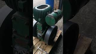 Wolseley WD2 Twin Flywheel Stationary Engine [upl. by Enicnarf]