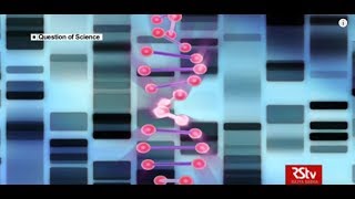 RSTV A Question of Science  EP  06  DNA as Detective [upl. by Gyatt]