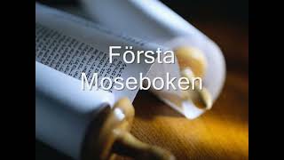 1 Swedish Ljudbibel Gamla testamentetFörsta Moseboken [upl. by Teraj]