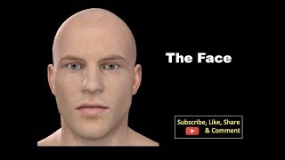 The Face Anatomy mbbs education bds headandneckanatomy face [upl. by Rollin]