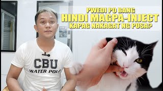 PWEDI BANG HINDI MAGPA INJECT NG ANTI RABIES VACCINE KAPAG NAKAGAT NG PUSA [upl. by Lesiram]