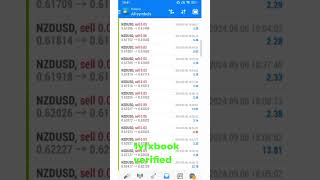 Superb performance by TOBOR FX Robot Live video proof of Profits [upl. by Meeki470]