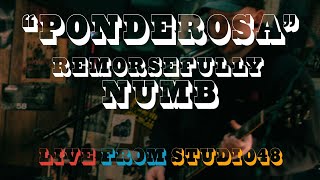 quotPonderosaquot  Remorsefully Numb LIVE From Studio48 [upl. by Leunas422]