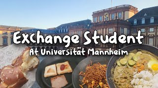 A Day in the Life of an Exchange Student at Mannheim University 🇩🇪 [upl. by Soinski]