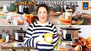 5 SLOW COOKER MEALS FOR UNDER £25 FROM ALDI  Autumn 2023 Dump amp Go Slow Cooker Meals  Budget Meals [upl. by Iolenta]