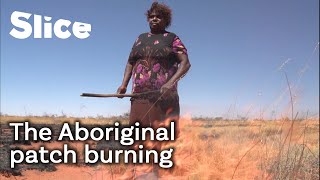 How Aboriginal Australians use fire to help the ecosystem  SLICE [upl. by Larrabee]