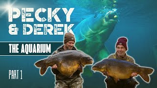 Autumn Fishing for Big Carp in France  Darrell Peck amp Derek Harrison  Extract Part 1 of 2 [upl. by Ymmaj862]