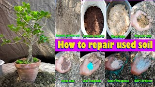 How to repair used SoilChinese Banyan tree pruning repotting video 2021 Samaresh Bonsai [upl. by Wu]