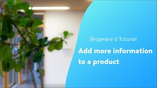 Add more information to a product Shopware 6 Tutorial EN [upl. by Fallon]