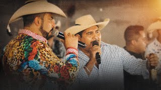 La Dinastía de Tuzantla  Los Hermanos Salgado  El Enyerbado VIDEO OFICIAL [upl. by Elylrac]