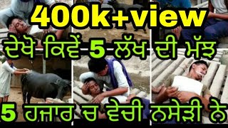 ਦੇਖੋ ਨਸ਼ੇੜੀਆ ਦਾ ਹਾਲ 5 lakh di majh vechi 5 hjaar di Share ਜਰੂਰ ਕਰੋ latest Punjabi Full video [upl. by Anaujd]