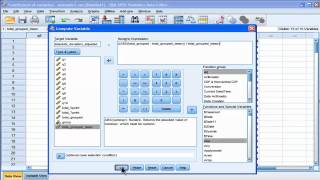 Coefficient of variation  SPSS part 3 [upl. by Doerrer726]