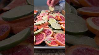 Freeze Drying Blood Oranges Grapefruit And Limes [upl. by Custer298]