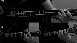 Darkthrone  Hans Siste Vinter Cover Guitars amp Bass Cover [upl. by Carrol]