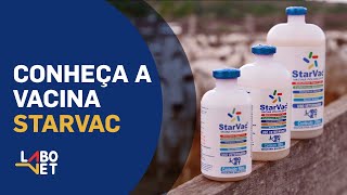 Conheça a Vacina STARVAC  Labovet Produtos Veterinários [upl. by Darom]