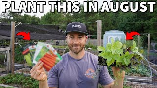 33 AWESOME VEGGIES You Should Plant In August RIGHT NOW [upl. by Pittman717]