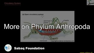 More on Phylum Arthropoda Biology Lecture  Sabaqpk [upl. by Zahavi]