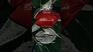 sureh yaseen ayat translation tarjumaquran islamicstatus duet viralvideo [upl. by Wilmette]