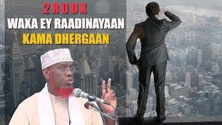 2 RUUX WAXA EY RAADINAYAAN KAMA DHERGAAN ᴴᴰ┇ShMaxamed Cabdi Umal [upl. by Eiramave]