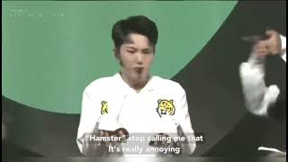 Tiger Power Horangi Power Live with Eng sub [upl. by Akyssej183]