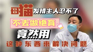 母猫发情主人忍不了！不去做绝育！竟然用这种东西来解决问题… [upl. by Kimmy]