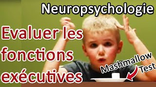 NEUROPSY Les stratégies dévaluation des fonctions exécutives [upl. by Arym]