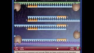 Polymerase Chain Reactionmp4 [upl. by Pascia100]