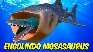 🐋 NA BOCA DA BALEIA 🐋 Amigas são engolidas e cuspidas por baleia enquanto velejavam [upl. by Gray267]