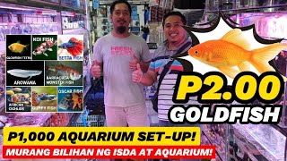 CARTIMAR PETSHOP BILIHAN MURANG ISDA AT AQUARIUM GOLDFISH 2 PESOS ONLY P1000 AQUARIUM SETUP [upl. by Neeleuqcaj332]