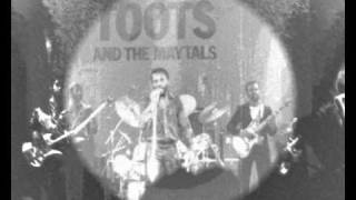 GET UP STAND UP  TOOTS AND THE MAYTALS  TORHOUT WERCHTER 1981 PART 3 [upl. by Serica197]