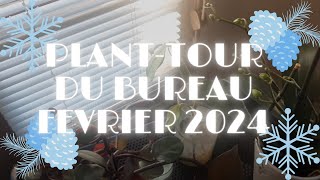 Plant tour du bureau  février 2024 [upl. by Jordanna]