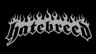 HATEBREED LIVE DVD TRAILER  COMING SOON [upl. by Hannover]