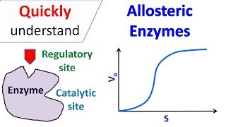 Allosteric enzymes their mechanism of action Feedback inhibition [upl. by Nadirehs]