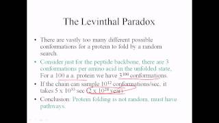 Levinthal paradox [upl. by Banwell]