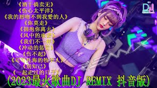 Chinese DJ 2024 高清新2024夜店混音【全中文dj舞曲】40首精选歌曲 超好听  2024年经典火爆中文DJ串烧  最新最火DJ抖音版2024  2024 年最劲爆的DJ歌曲 [upl. by Shulock721]