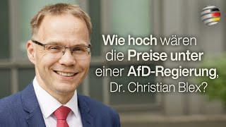 Blex AfD „Deutschlands Wirtschaft wird massiv einbrechen“  Im Gespräch mit Oliver Flesch [upl. by Eynttirb]