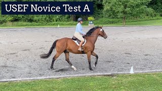 2022 USEF Novice Test A  Thornridge Manor  Charlie 06182022 [upl. by Elwira959]