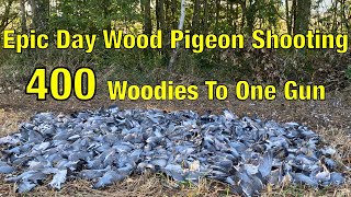 Shooting Pigeon  Wood Pigeon Shooting Epic Day 400 Shot To One Gun [upl. by Hendren]