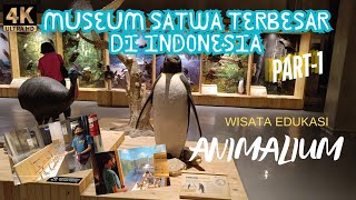 ANIMALIUM BRIN BOGOR Wisata Edukasi Modern Terbesar di Indonesia  BELAJAR SAMBIL BERMAIN  Part1 [upl. by Fahy]