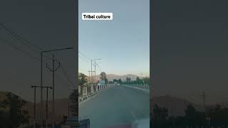 Beauy of Kokernag valley 🥰 Travelling 🌎 travel trendingshorts nature viralvideo [upl. by Emilie]