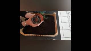 DIY jardinière pour balcon en récup cagette [upl. by Sterne762]