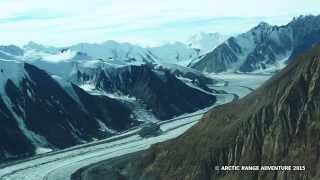 Arctic Day Kluane National Park Tour  full day [upl. by Ahseia]