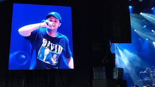 Raleigh Ritchie  Stronger Than Ever live  Rock Werchter festival 2019 Belgium [upl. by Gnort]