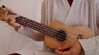 TUTORIAL UKULELE CHORD  RAPSODI JKT48 [upl. by Imeaj]