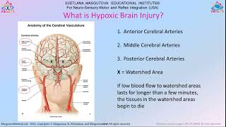 MNRI® A Spark of Hope for Hypoxic Brain Injuries [upl. by Atnuhs957]